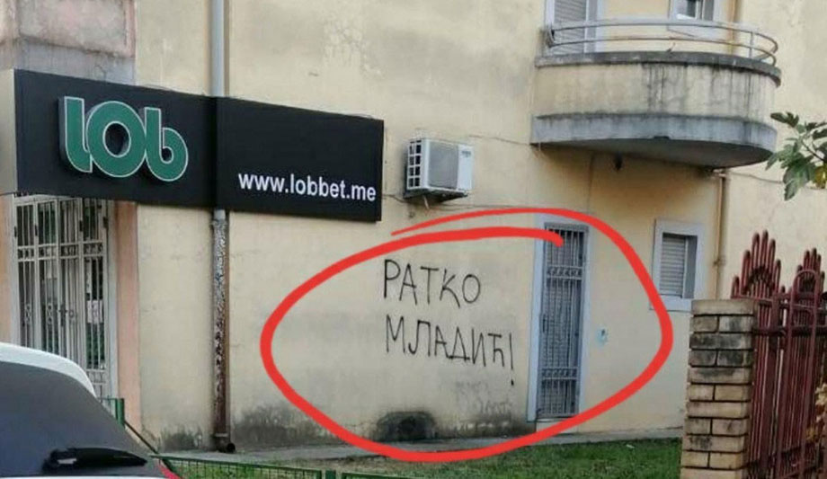 srna.jpg