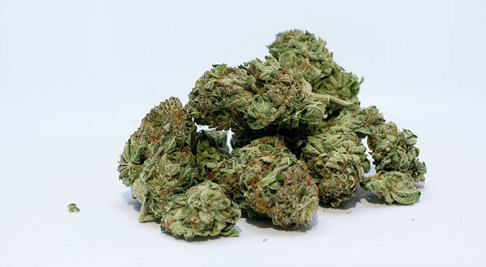 marihuana-pixabaj-ilustracija.jpg