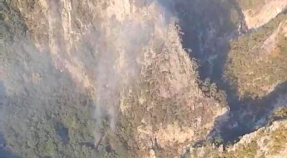 sutjeska-pozar-srna.jpg